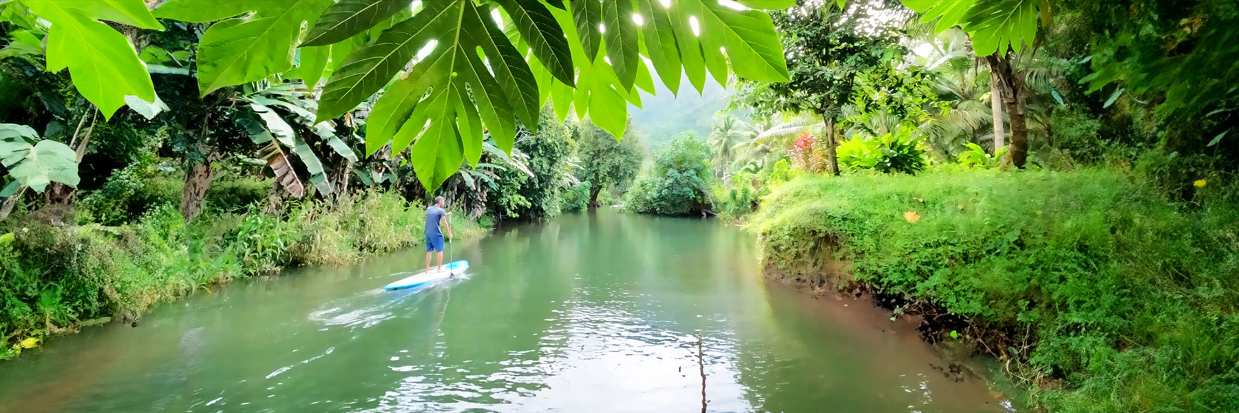 Stand Up Paddle sur la rivière Faaroa