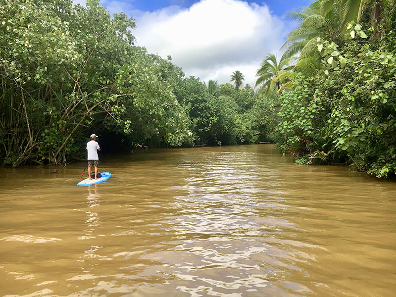 Polynesian Adventure