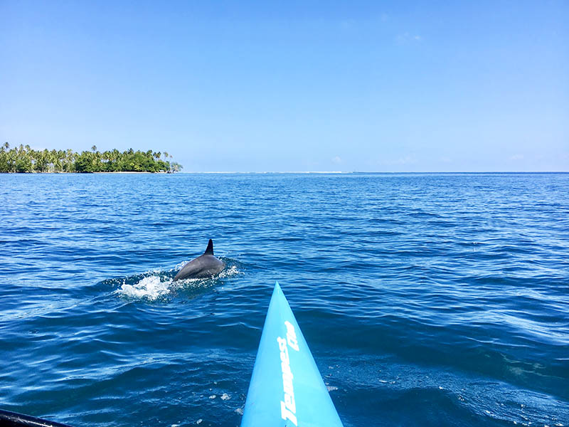 Polynesian Adventure